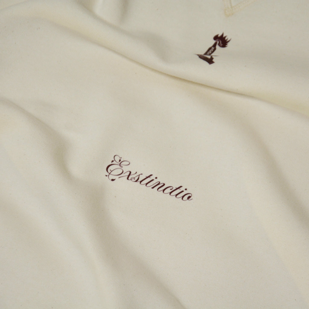 Exstinctio